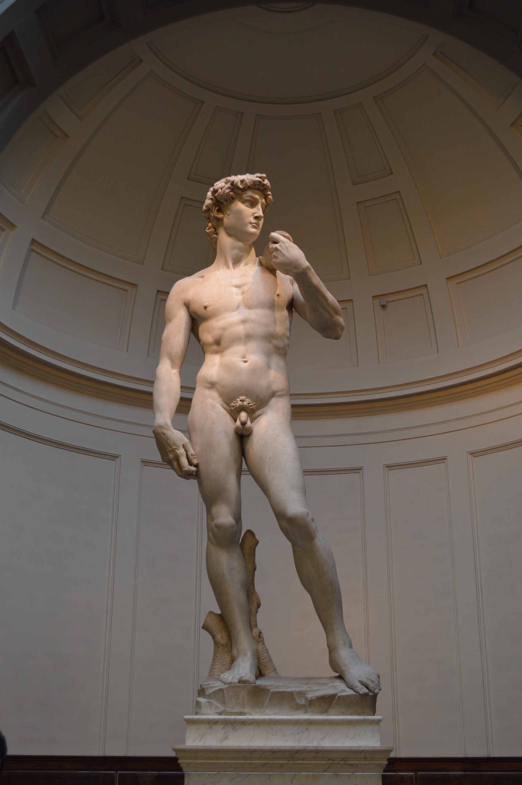 A escultura de David de Michelangelo – Informações Úteis